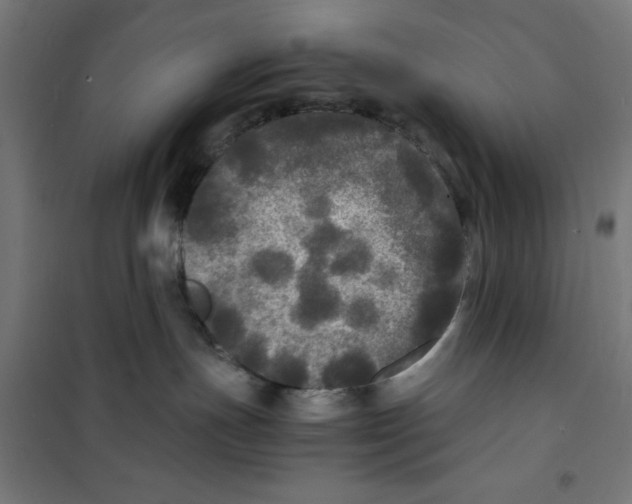 X0000100310191200807031155