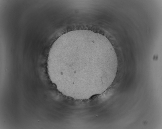 X0000100310192200807031155