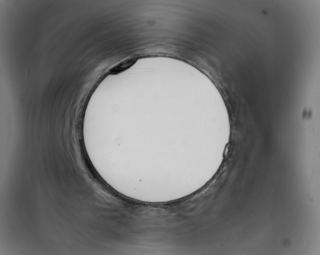 X0000100310193200807031155