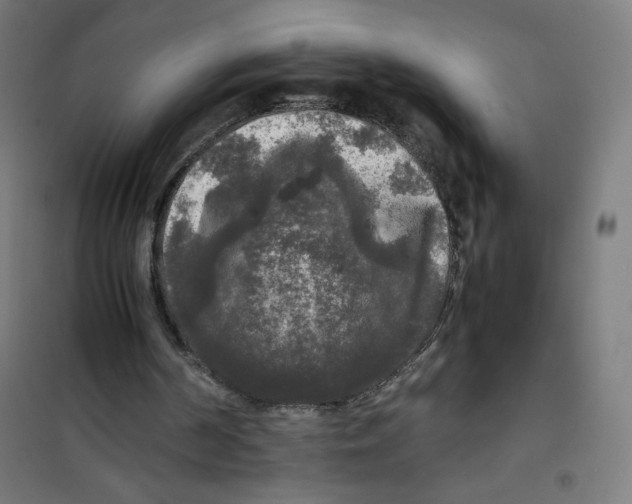X0000100310194200807031155