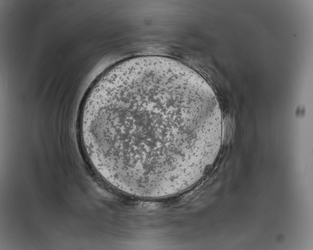X0000100310195200807031155