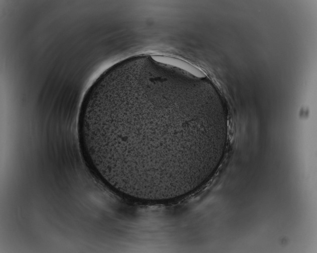 X0000100310196200807031155