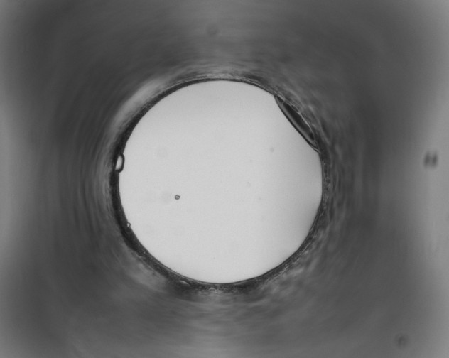 X0000100310197200807031155