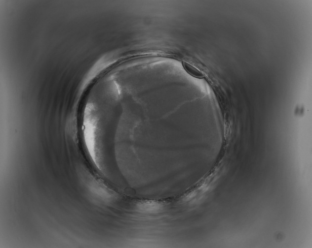 X0000100310198200807031155