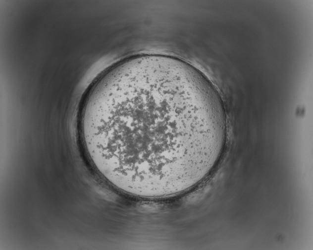X0000100310199200807031155