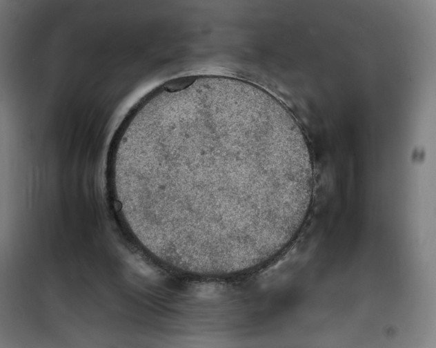 X0000100310200200807031155