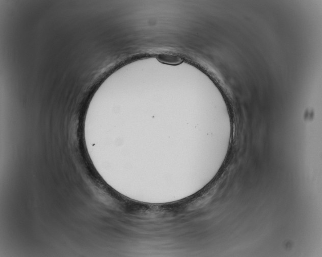 X0000100310201200807031155