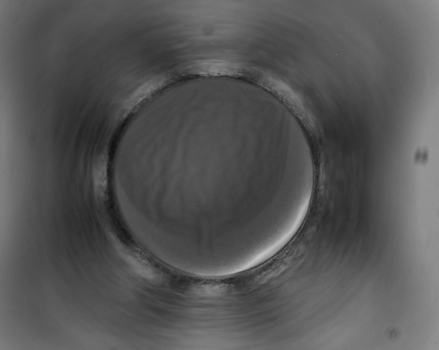 X0000100310202200807031155