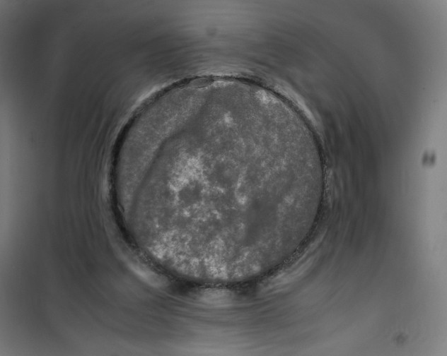 X0000100310203200807031155