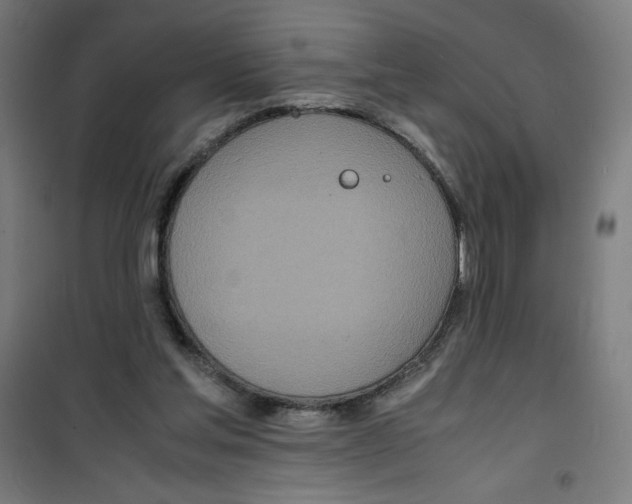 X0000100310205200807031155