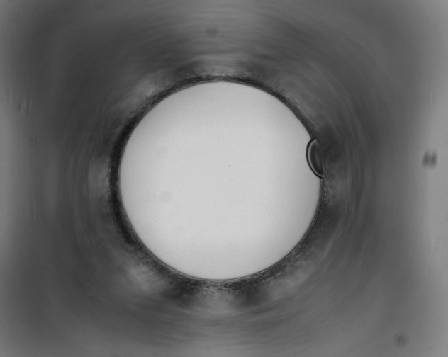 X0000100310207200807031155