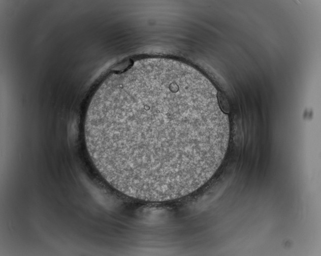 X0000100310208200807031155