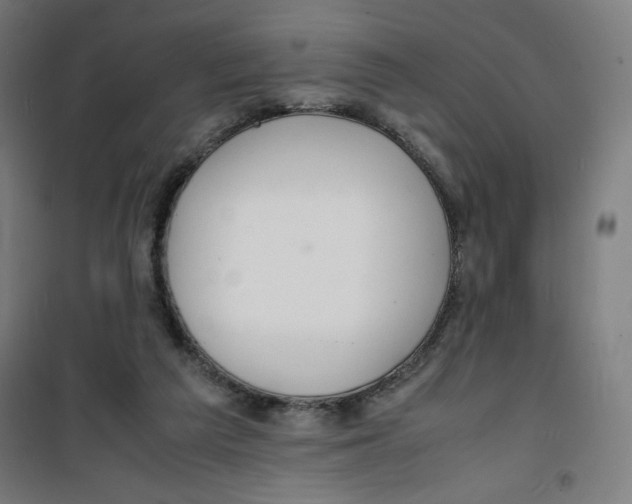 X0000100310209200807031155