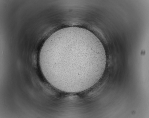X0000100310210200807031155