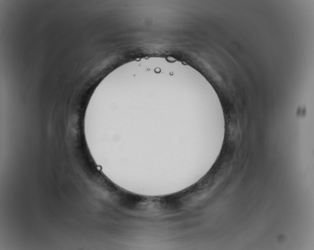 X0000100310211200807031155