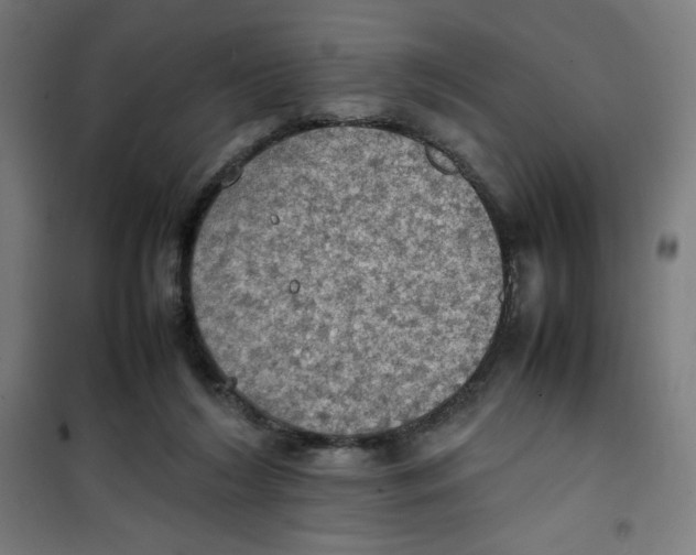 X0000100310212200807031155
