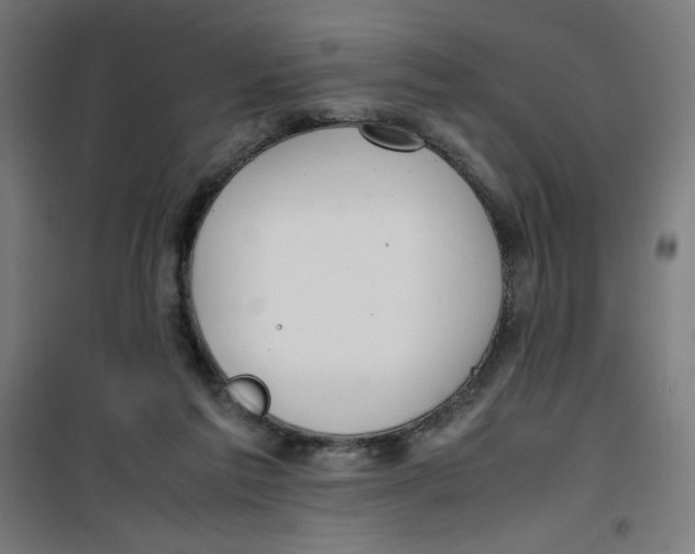 X0000100310213200807031155