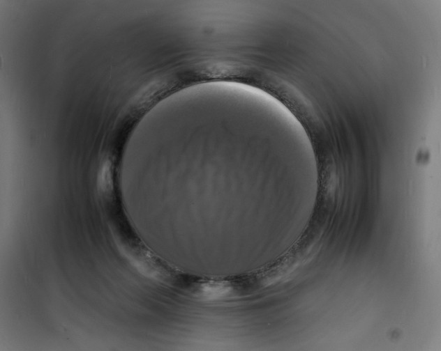 X0000100310214200807031155