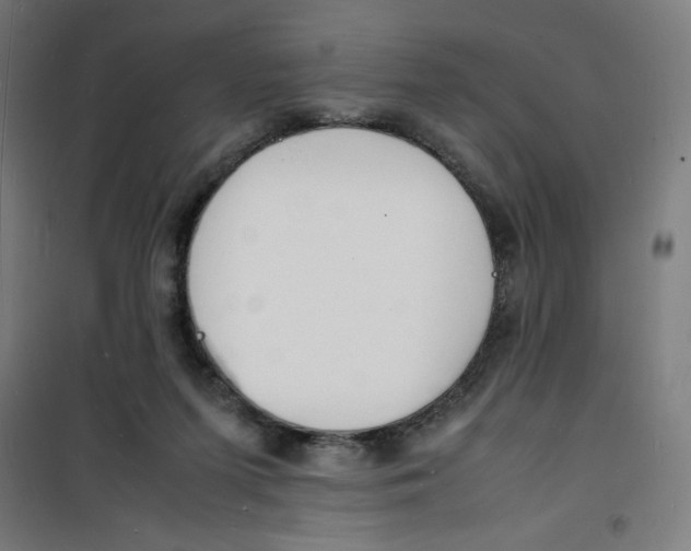 X0000100310215200807031155