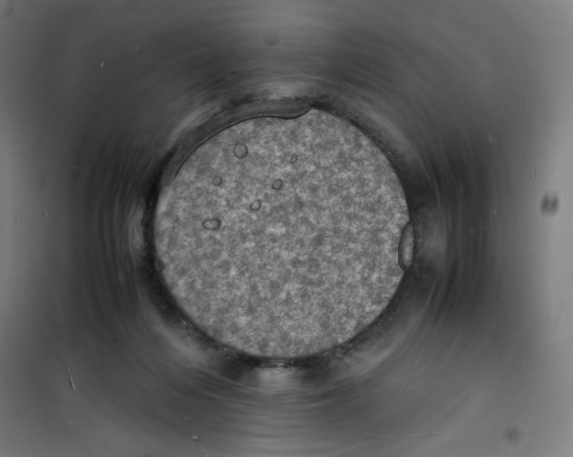 X0000100310216200807031154