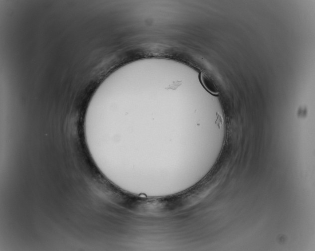 X0000100310217200807031154