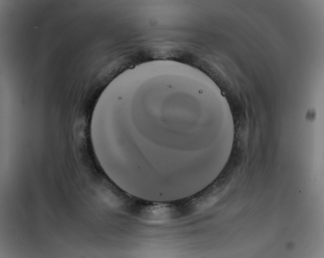 X0000100310219200807031154