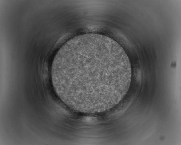X0000100310220200807031154