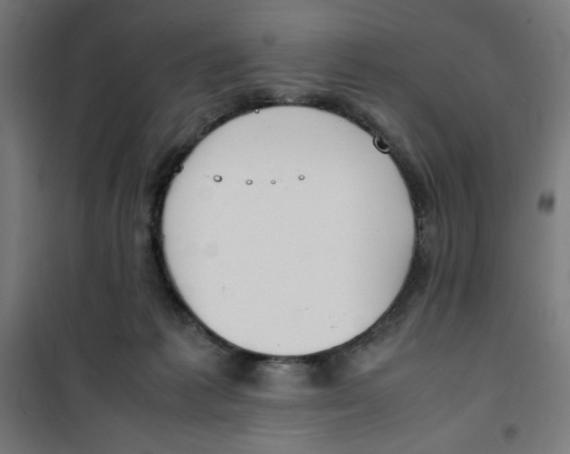X0000100310221200807031154