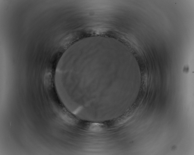 X0000100310222200807031154