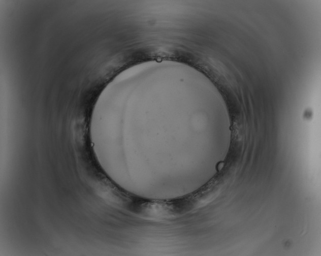 X0000100310223200807031154