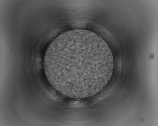 X0000100310224200807031154