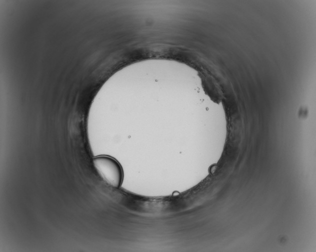 X0000100310225200807031154