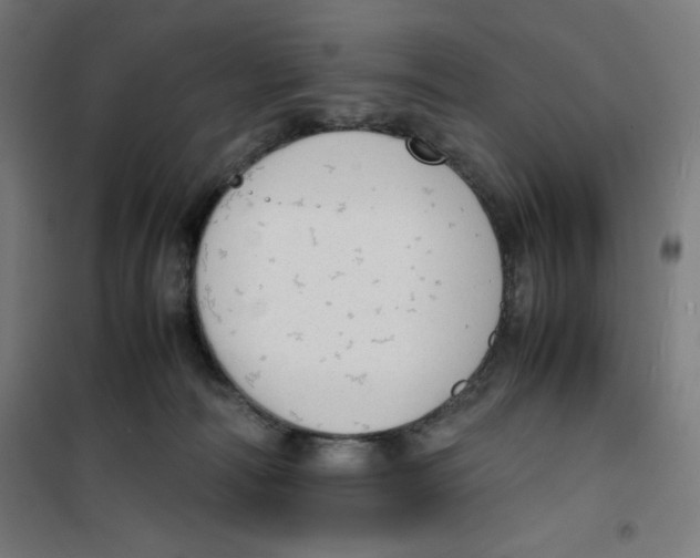 X0000100310226200807031154