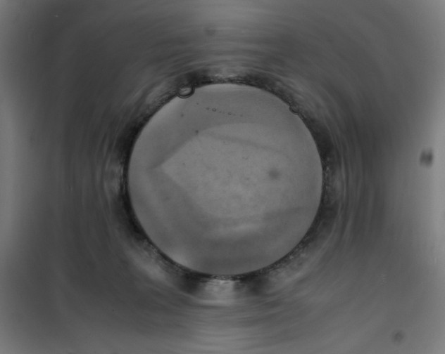 X0000100310227200807031154