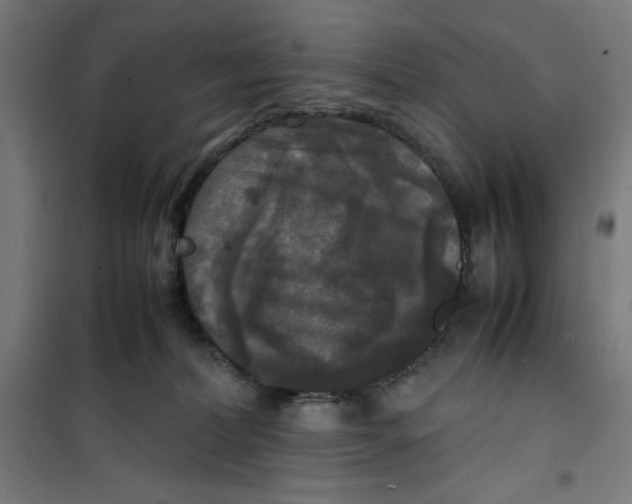 X0000100310228200807031154
