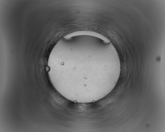 X0000100310229200807031154