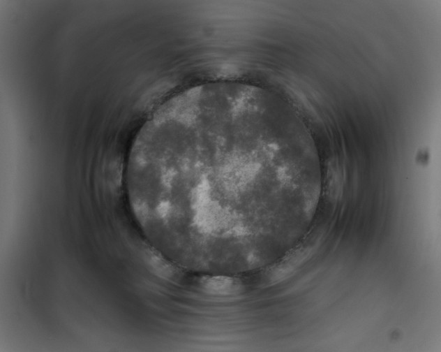 X0000100310230200807031154
