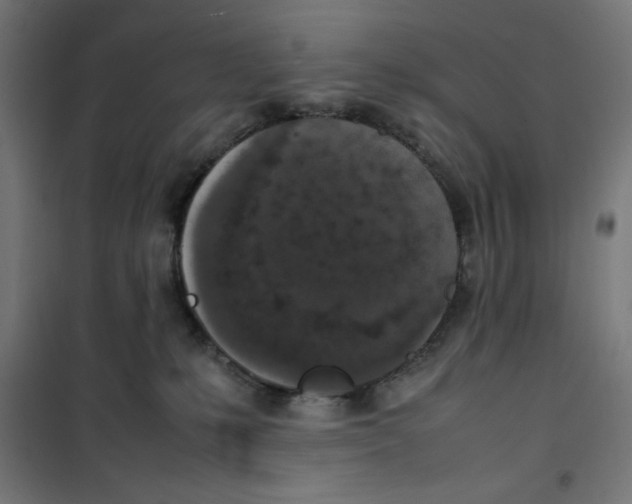 X0000100310231200807031154
