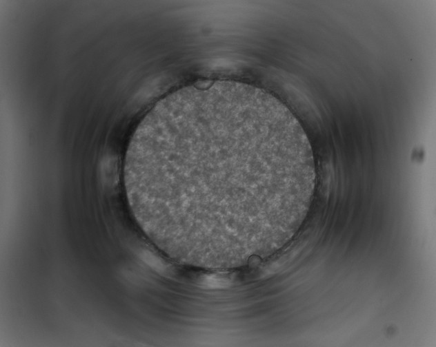 X0000100310232200807031154