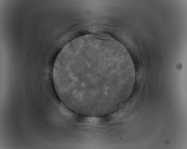X0000100310233200807031154