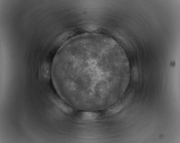 X0000100310234200807031154