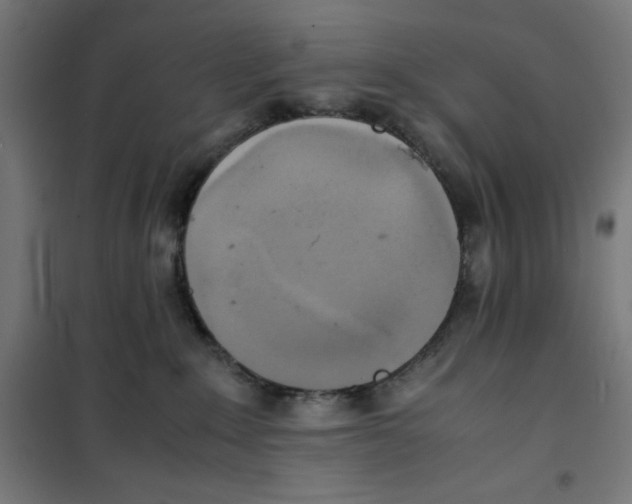 X0000100310235200807031154