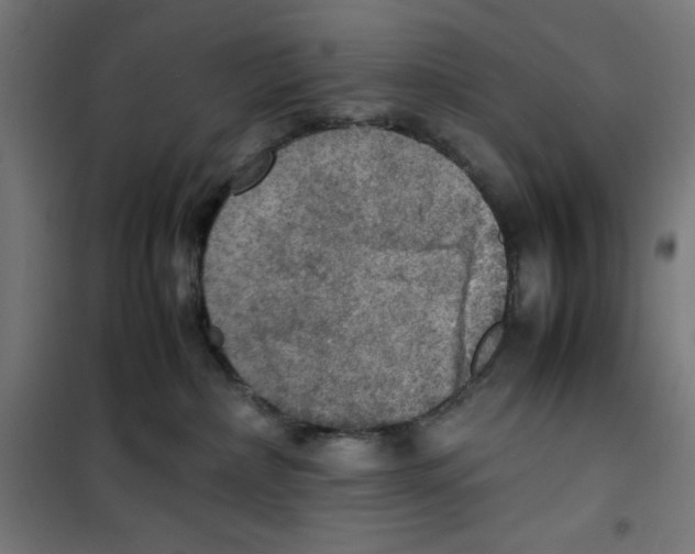 X0000100310236200807031154