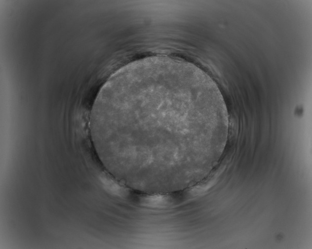 X0000100310237200807031154