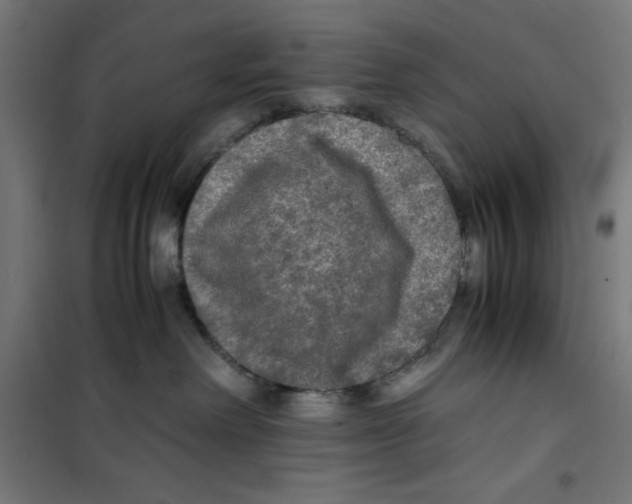 X0000100310238200807031154