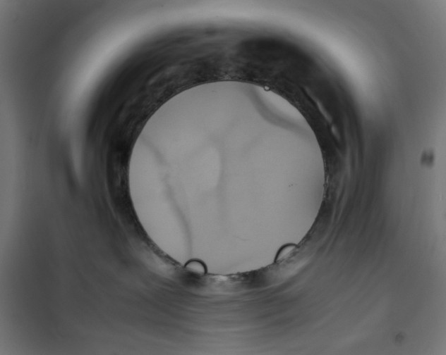 X0000100310239200807031154