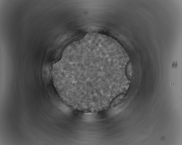 X0000100310240200807031154