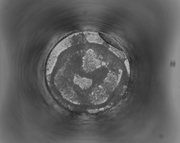 X0000100310241200807031153