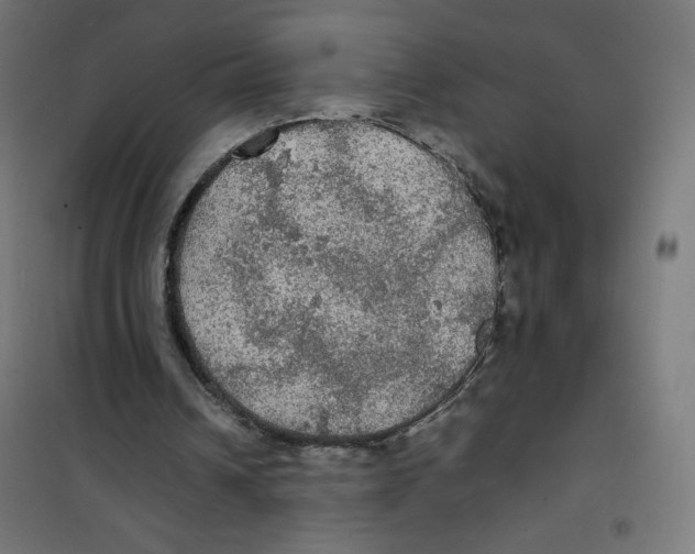 X0000100310242200807031153