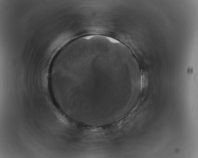 X0000100310243200807031153
